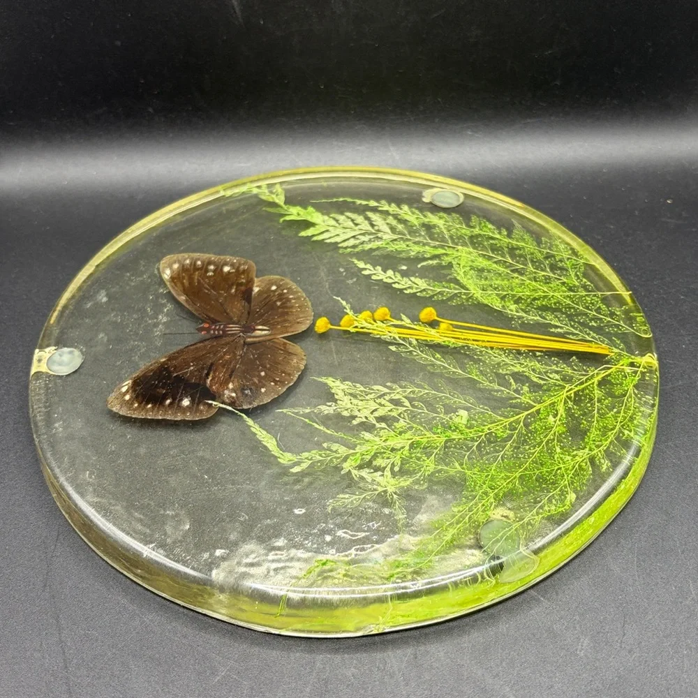 Vintage Butterfly Dried Flowers Trivet Resin Acrylic Lucite 1970s Kitchen Retro